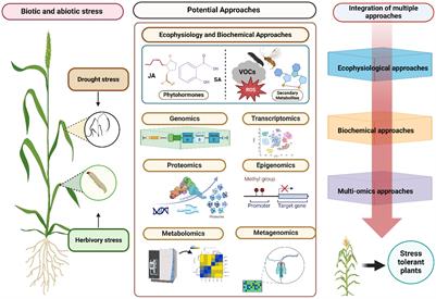 Integrating ecophysiology and omics to unlock crop response to drought and herbivory stress